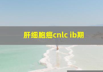 肝细胞癌cnlc ib期